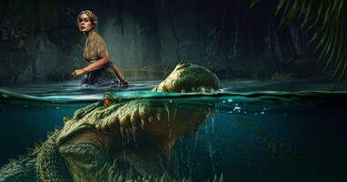  تصویر باتلاق