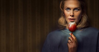  تصویر هالند