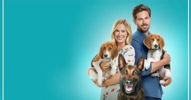  تصویر سگی به نام ایندی