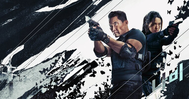  تصویر پروانه