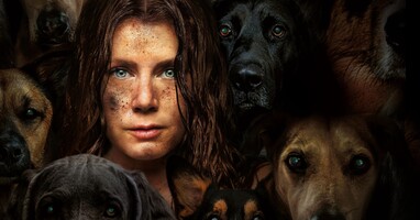  تصویر سگ شبانه