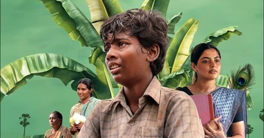  تصویر سایه نخل