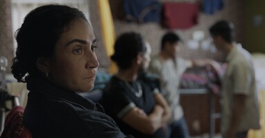  تصویر ریشلیو