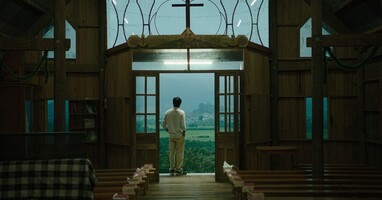  تصویر درون پوسته پیله زرد