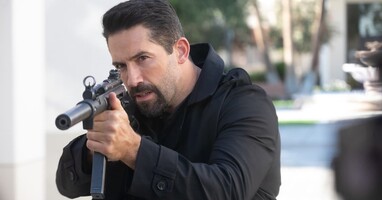  تصویر بخش ۸