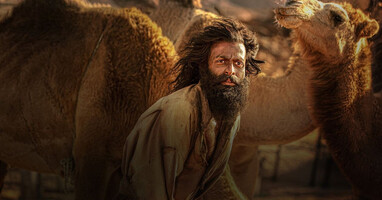  تصویر زندگی بزی