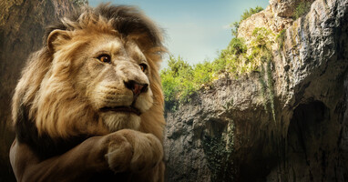  تصویر جادوگر شهر زمرد: راه جاده زرد