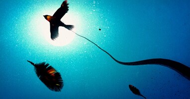  تصویر پیامبر