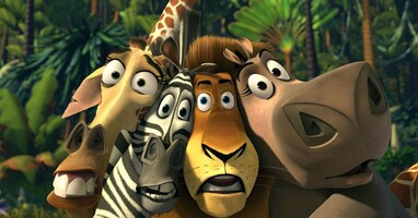  تصویر ماداگاسکار