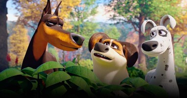  تصویر ترابل