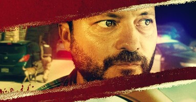  تصویر شیر مرداب