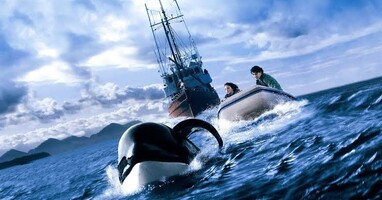  تصویر نهنگ آزاد ۳: نجات