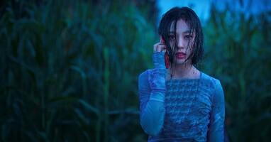  تصویر قورباغه