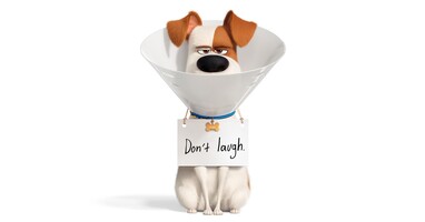  تصویر زندگی مخفی حیوانات خانگی ۲