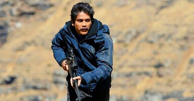  تصویر سگ و حشی