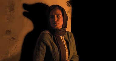  تصویر گرگ بازی