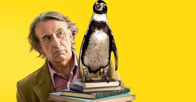  تصویر درس‌های پنگوئن