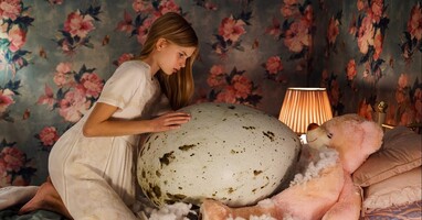  تصویر جوجه‌کشی