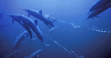  تصویر آبی ژرف