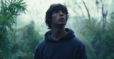  تصویر پادشاهی حیوانات