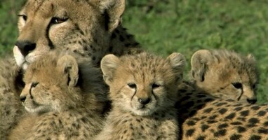  تصویر یک زندگی