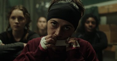  تصویر تازه کار