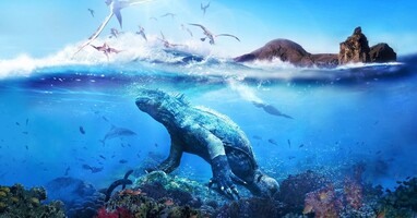  تصویر گالاپاگوس