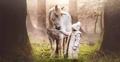  تصویر قصه تک شاخ جنگل