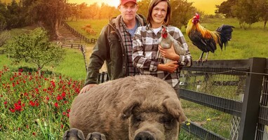  تصویر بزرگترین مزرعه کوچک: بازگشت