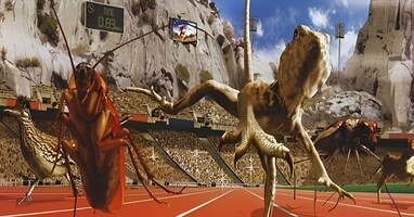  تصویر المپیک حیوانات