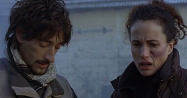  تصویر گل های هریسون