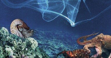  تصویر منشا زندگی