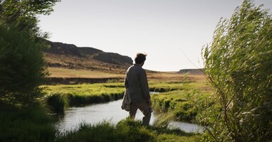  تصویر درباره علف های خشک