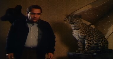  تصویر پرچم‌ دار