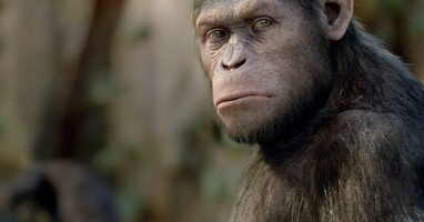  تصویر ظهور سیاره میمون ها