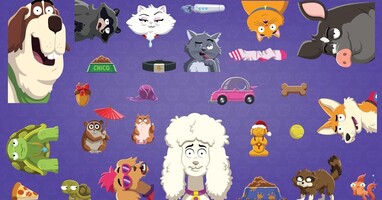  تصویر حیوانات تعلیم یافته