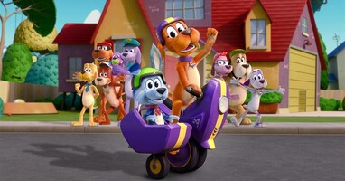  تصویر برو، سگ. برو!