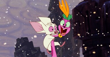  تصویر بارتوک باشکوه