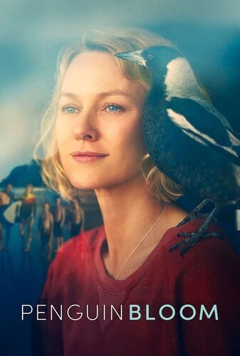 شکوفایی پنگوئن - پوستر