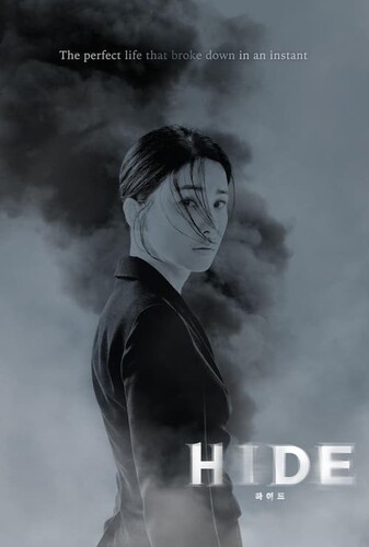 پنهان - پوستر