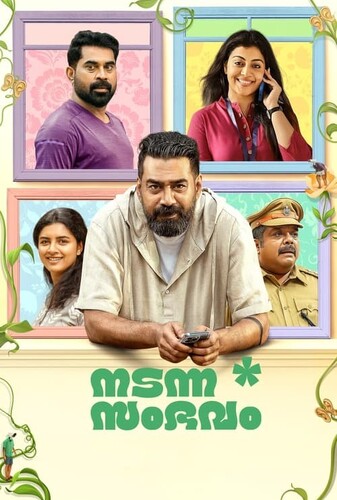 ماجرای رخ داده - پوستر