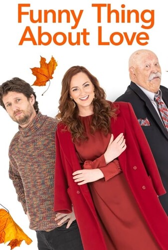 یک کار خنده دار درباره عشق - پوستر