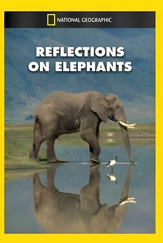 بازتاب فیل‌ها - پوستر