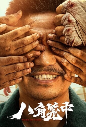 هرگز نگو هرگز - پوستر