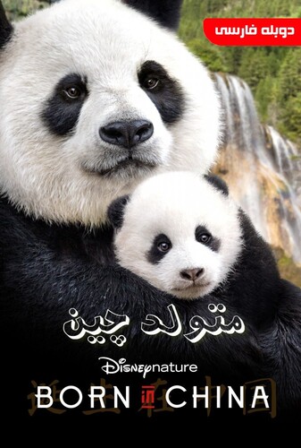 متولد چین - پوستر