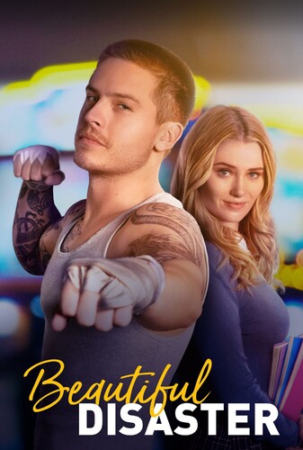 فاجعه زیبا - پوستر