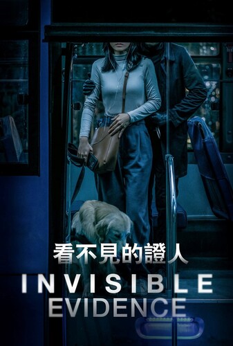گواه نامرئی - پوستر