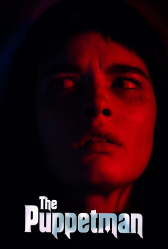 عروسک گردان - پوستر