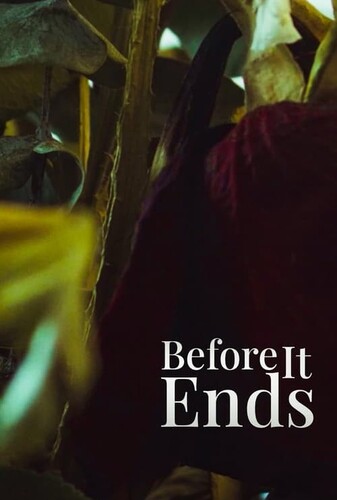 قبل از اینکه به پایان برسد - پوستر