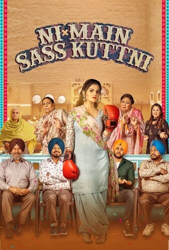 !نه بابا! من که مادرشوهرم رو نمی‌زنم - پوستر